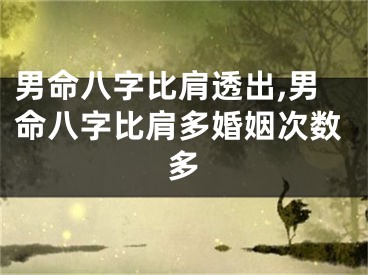 男命八字比肩透出,男命八字比肩多婚姻次数多