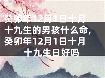 癸卯年12月1日十月十九生的男孩什么命,癸卯年12月1日十月十九生日好吗