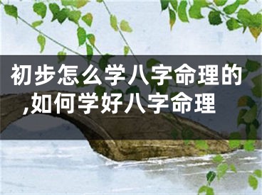 初步怎么学八字命理的,如何学好八字命理