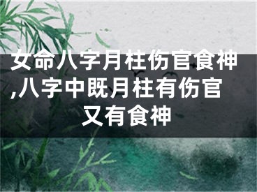 女命八字月柱伤官食神,八字中既月柱有伤官又有食神
