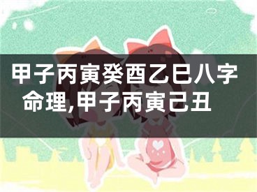甲子丙寅癸酉乙巳八字命理,甲子丙寅己丑