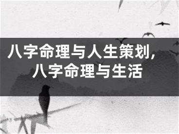 八字命理与人生策划,八字命理与生活