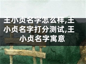 王小贞名字怎么样,王小贞名字打分测试,王小贞名字寓意