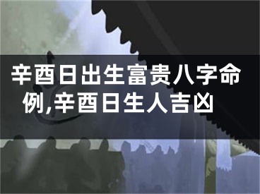辛酉日出生富贵八字命例,辛酉日生人吉凶