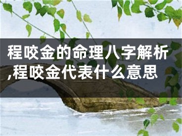程咬金的命理八字解析,程咬金代表什么意思