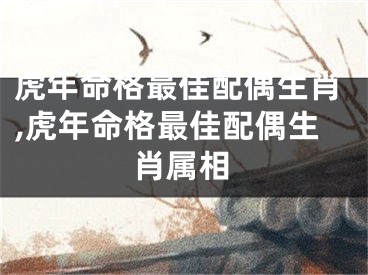 虎年命格最佳配偶生肖,虎年命格最佳配偶生肖属相