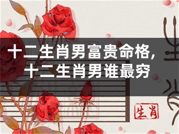 十二生肖男富贵命格,十二生肖男谁最穷