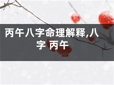 丙午八字命理解释,八字 丙午