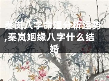 秦岚八字命理分析运势,秦岚姻缘八字什么结婚