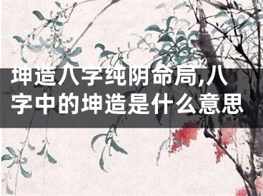坤造八字纯阴命局,八字中的坤造是什么意思