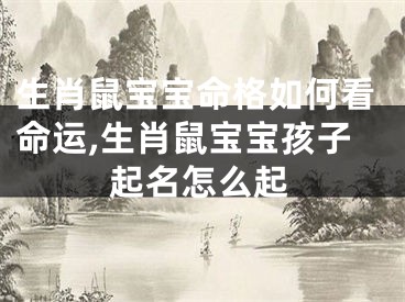 生肖鼠宝宝命格如何看命运,生肖鼠宝宝孩子起名怎么起