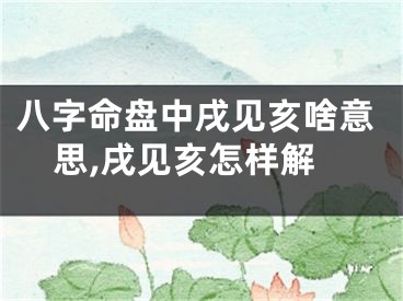 八字命盘中戌见亥啥意思,戌见亥怎样解