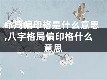 命局偏印格是什么意思,八字格局偏印格什么意思