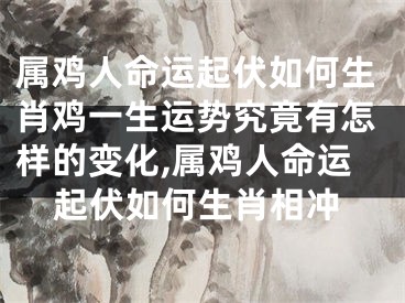 属鸡人命运起伏如何生肖鸡一生运势究竟有怎样的变化,属鸡人命运起伏如何生肖相冲