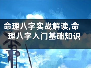 命理八字实战解读,命理八字入门基础知识