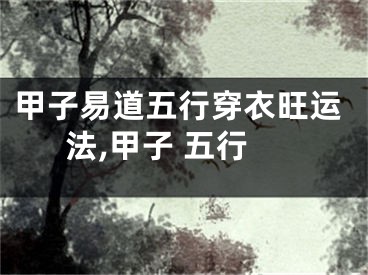 甲子易道五行穿衣旺运法,甲子 五行
