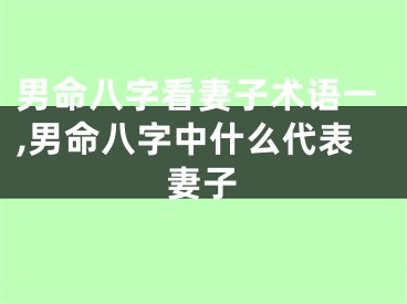 男命八字看妻子术语一,男命八字中什么代表妻子