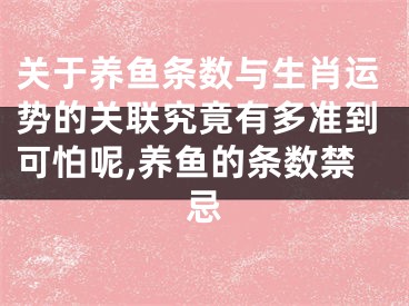 关于养鱼条数与生肖运势的关联究竟有多准到可怕呢,养鱼的条数禁忌