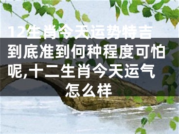 12生肖今天运势特吉到底准到何种程度可怕呢,十二生肖今天运气怎么样