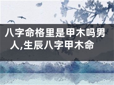 八字命格里是甲木吗男人,生辰八字甲木命