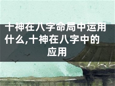 十神在八字命局中运用什么,十神在八字中的应用