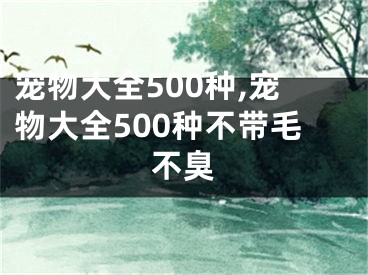 宠物大全500种,宠物大全500种不带毛不臭