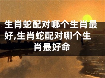 生肖蛇配对哪个生肖最好,生肖蛇配对哪个生肖最好命