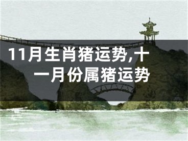 11月生肖猪运势,十一月份属猪运势