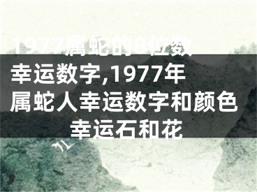1977属蛇的8位数幸运数字,1977年属蛇人幸运数字和颜色幸运石和花