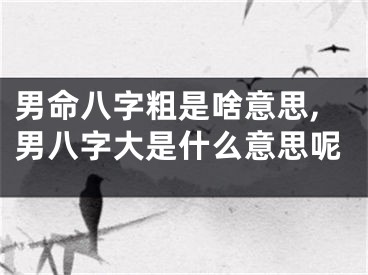 男命八字粗是啥意思,男八字大是什么意思呢