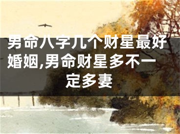 男命八字几个财星最好婚姻,男命财星多不一定多妻