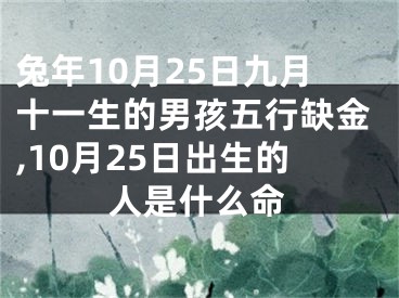 兔年10月25日九月十一生的男孩五行缺金,10月25日出生的人是什么命