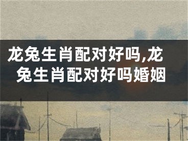 龙兔生肖配对好吗,龙兔生肖配对好吗婚姻