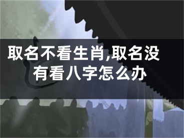 取名不看生肖,取名没有看八字怎么办