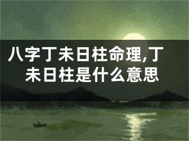 八字丁未日柱命理,丁未日柱是什么意思