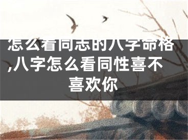 怎么看同志的八字命格,八字怎么看同性喜不喜欢你