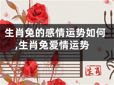 生肖兔的感情运势如何,生肖兔爱情运势
