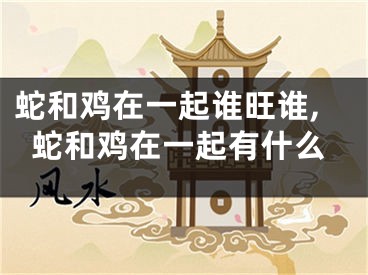 蛇和鸡在一起谁旺谁,蛇和鸡在一起有什么