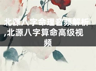 北源八字命理音频解析,北源八字算命高级视频