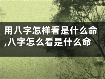 用八字怎样看是什么命,八字怎么看是什么命