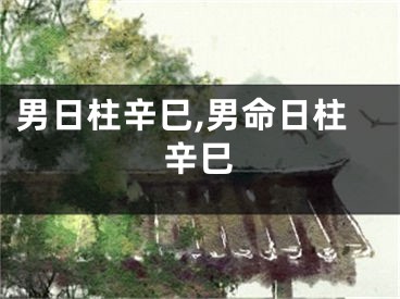 男日柱辛巳,男命日柱辛巳