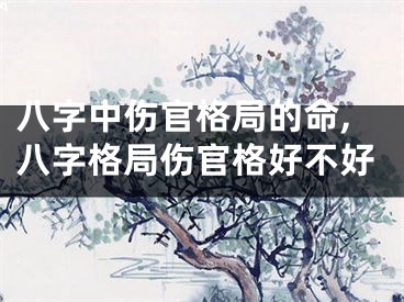 八字中伤官格局的命,八字格局伤官格好不好