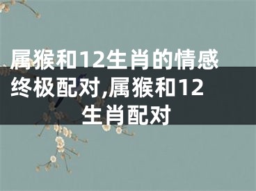 属猴和12生肖的情感终极配对,属猴和12生肖配对