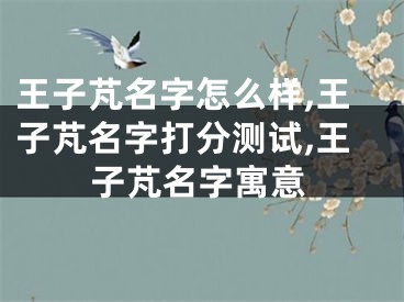 王子芃名字怎么样,王子芃名字打分测试,王子芃名字寓意