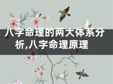 八字命理的两大体系分析,八字命理原理