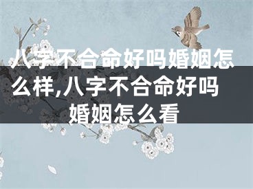 八字不合命好吗婚姻怎么样,八字不合命好吗婚姻怎么看
