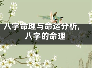 八字命理与命运分析,八字的命理