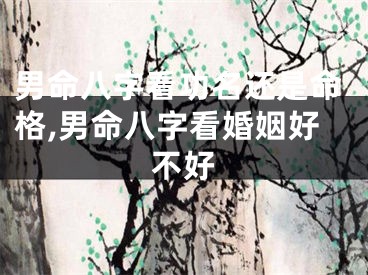 男命八字看功名还是命格,男命八字看婚姻好不好
