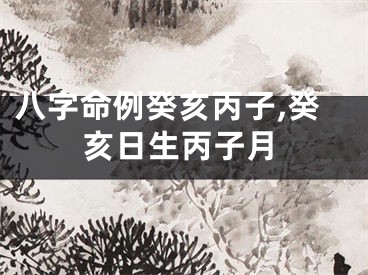 八字命例癸亥丙子,癸亥日生丙子月