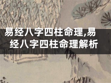 易经八字四柱命理,易经八字四柱命理解析